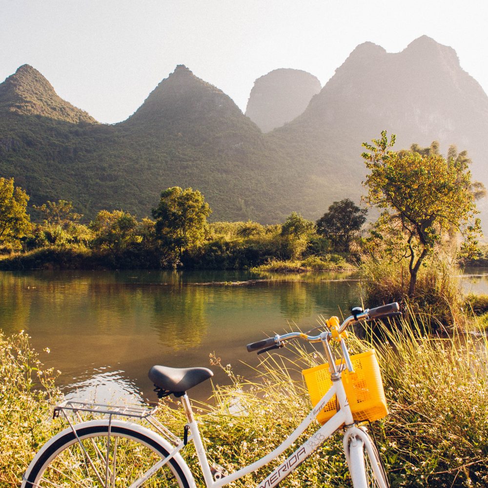 bicicleta estacionada al lado de un lago en verano